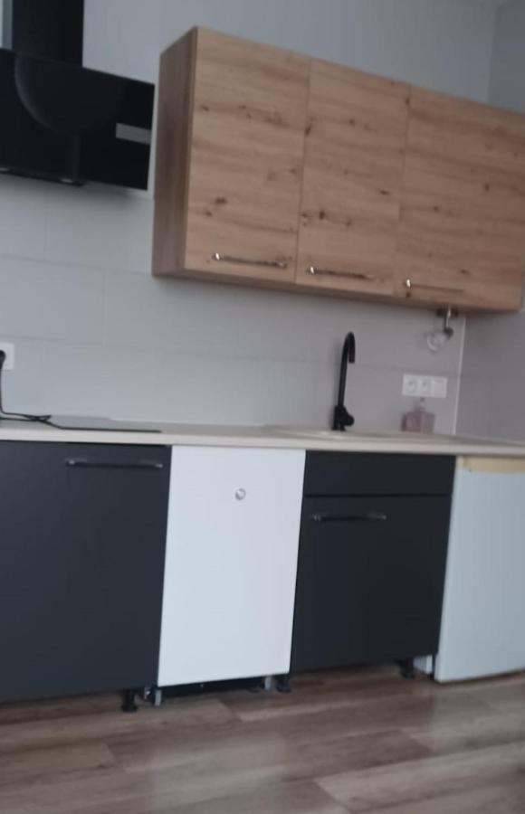 Apartamenty W Starym Kinie Świeradów-Zdrój 外观 照片