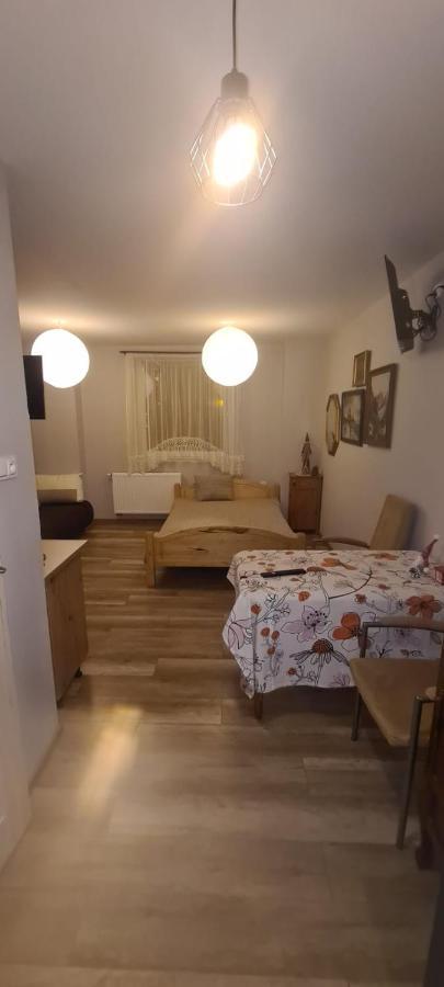 Apartamenty W Starym Kinie Świeradów-Zdrój 外观 照片