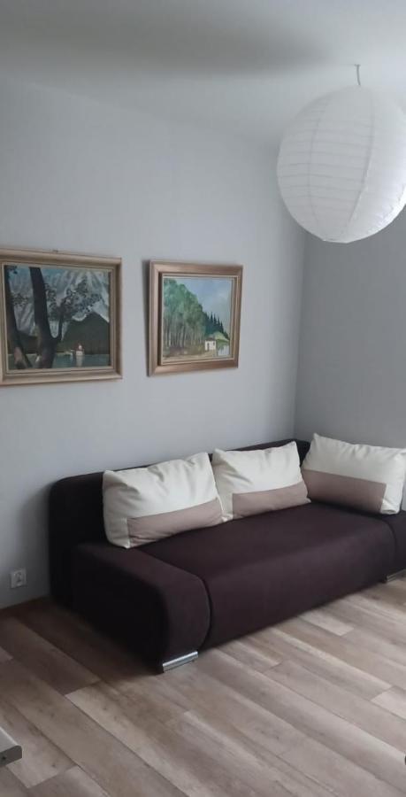 Apartamenty W Starym Kinie Świeradów-Zdrój 外观 照片
